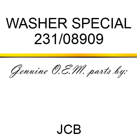 WASHER SPECIAL 231/08909
