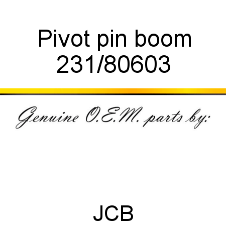 Pivot, pin, boom 231/80603