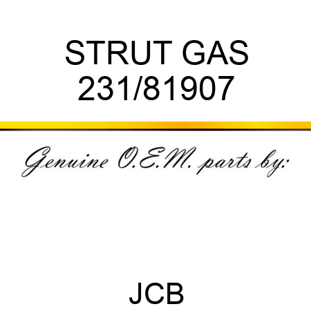 STRUT GAS 231/81907