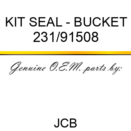 KIT SEAL - BUCKET 231/91508