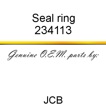 Seal, ring 234113