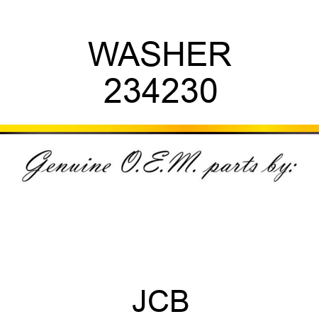 WASHER 234230