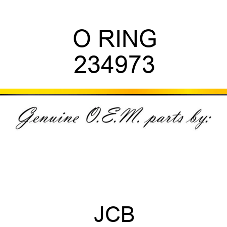 O RING 234973