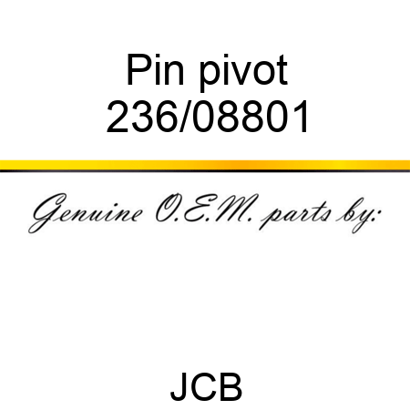 Pin pivot 236/08801