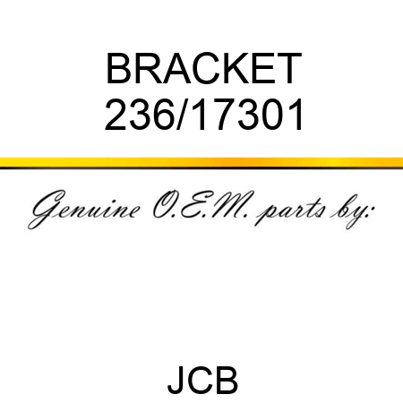 BRACKET 236/17301