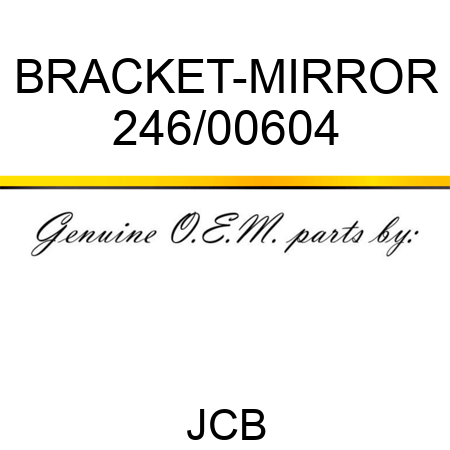BRACKET-MIRROR 246/00604