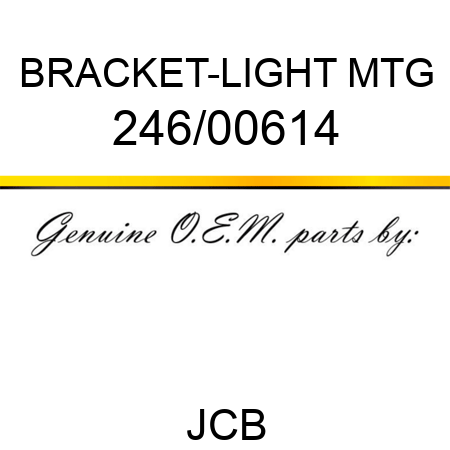 BRACKET-LIGHT MTG 246/00614