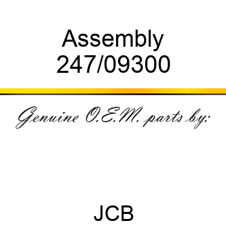 Assembly 247/09300