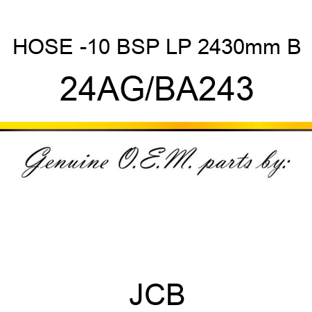 HOSE -10 BSP LP 2430mm B 24AG/BA243