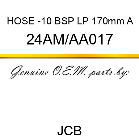 HOSE -10 BSP LP 170mm A 24AM/AA017