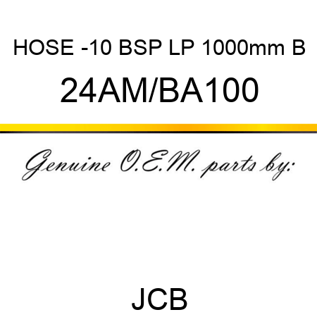 HOSE -10 BSP LP 1000mm B 24AM/BA100