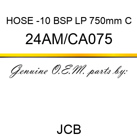 HOSE -10 BSP LP 750mm C 24AM/CA075