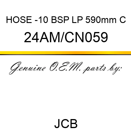 HOSE -10 BSP LP 590mm C 24AM/CN059