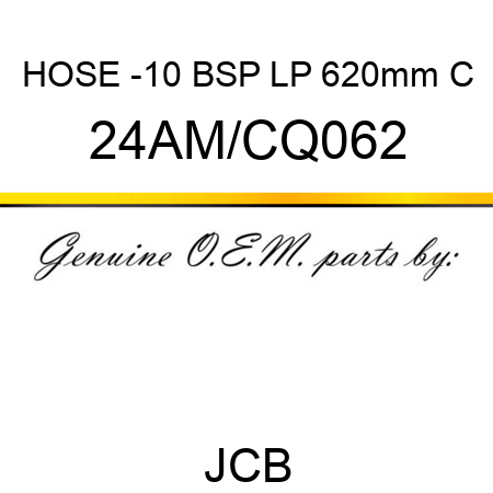 HOSE -10 BSP LP 620mm C 24AM/CQ062