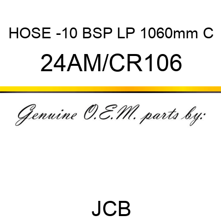 HOSE -10 BSP LP 1060mm C 24AM/CR106