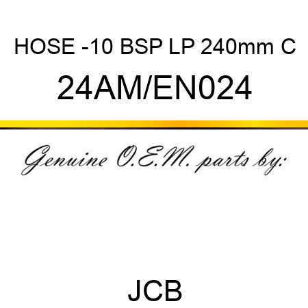 HOSE -10 BSP LP 240mm C 24AM/EN024