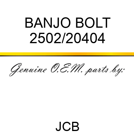 BANJO BOLT 2502/20404