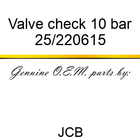 Valve check 10 bar 25/220615