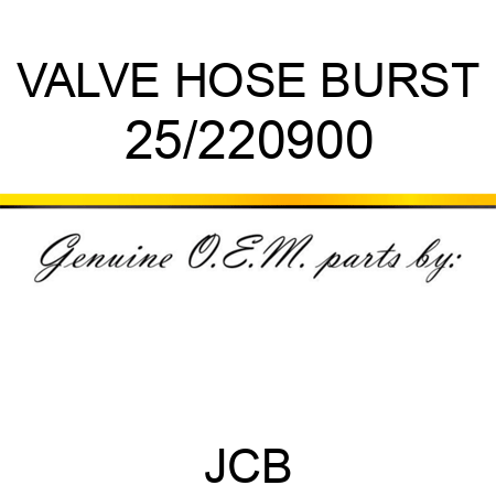 VALVE HOSE BURST 25/220900