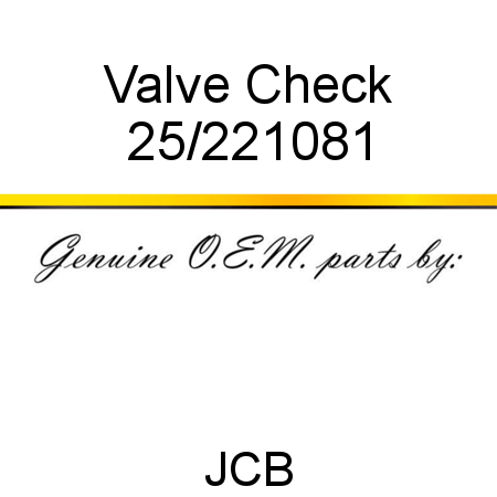 Valve, Check 25/221081