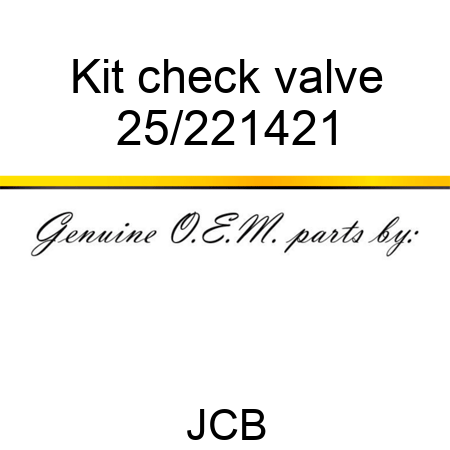 Kit check valve 25/221421