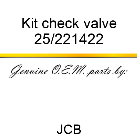 Kit check valve 25/221422