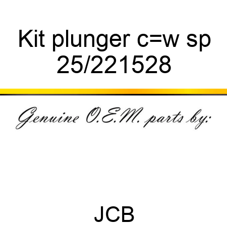 Kit plunger c_w sp 25/221528