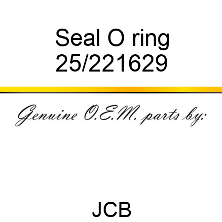 Seal O ring 25/221629
