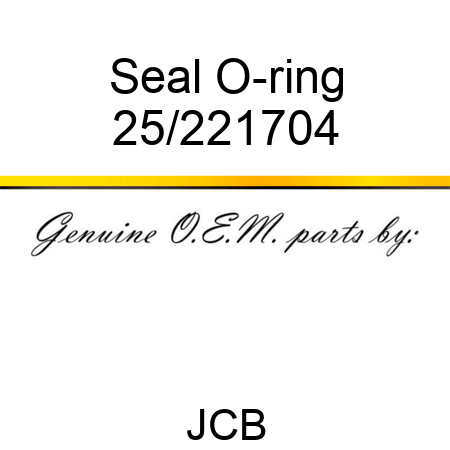 Seal O-ring 25/221704