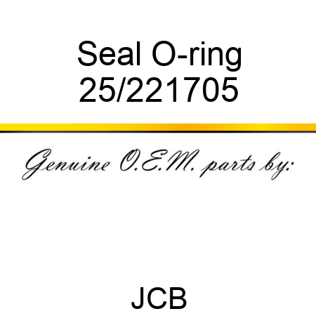 Seal O-ring 25/221705