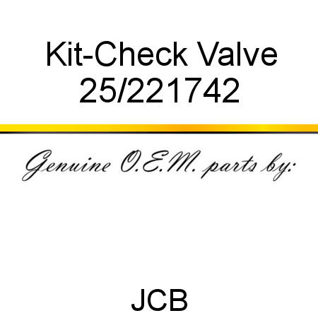 Kit-Check Valve 25/221742