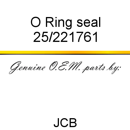 O Ring, seal 25/221761
