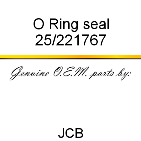 O Ring, seal 25/221767