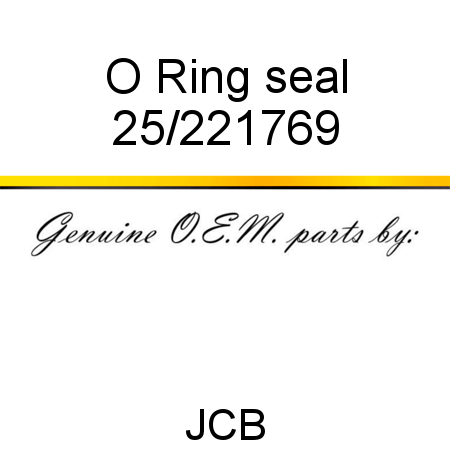 O Ring, seal 25/221769