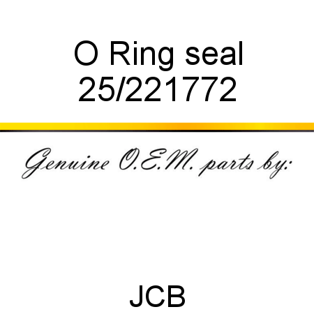 O Ring, seal 25/221772