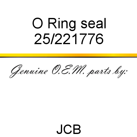 O Ring, seal 25/221776