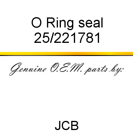 O Ring, seal 25/221781
