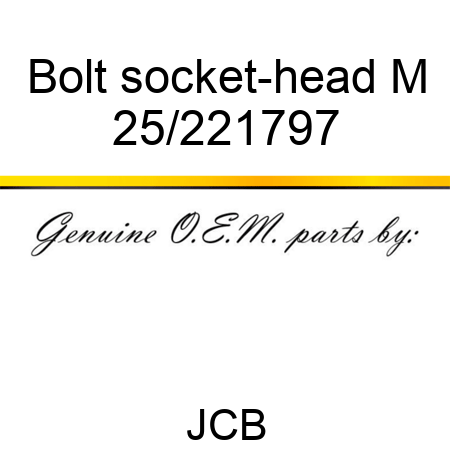 Bolt socket-head M 25/221797