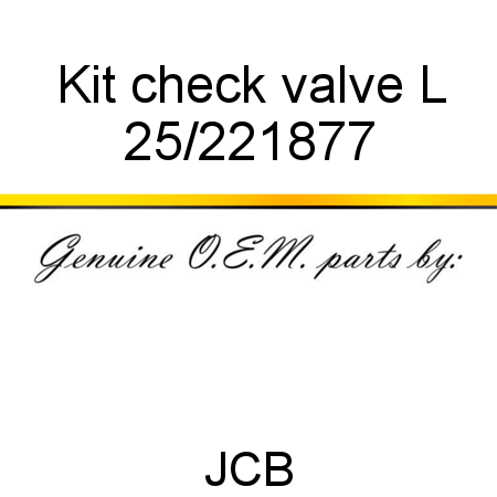 Kit, check valve L 25/221877