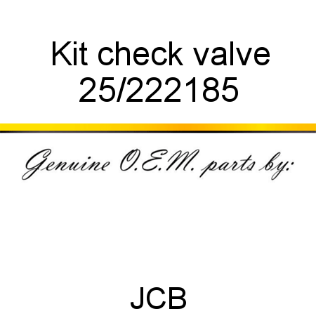 Kit, check valve 25/222185