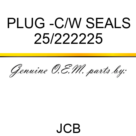 PLUG -C/W SEALS 25/222225
