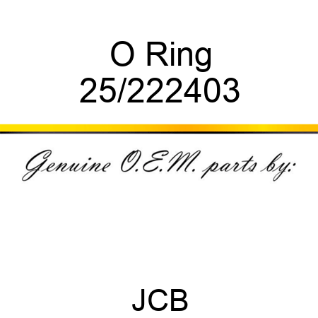 O Ring 25/222403