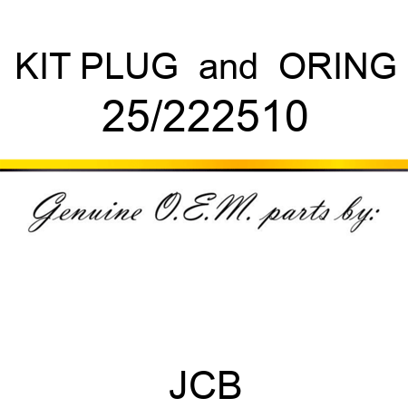 KIT PLUG & ORING 25/222510