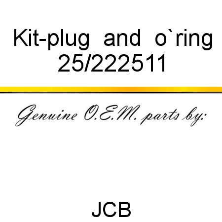 Kit-plug & o`ring 25/222511