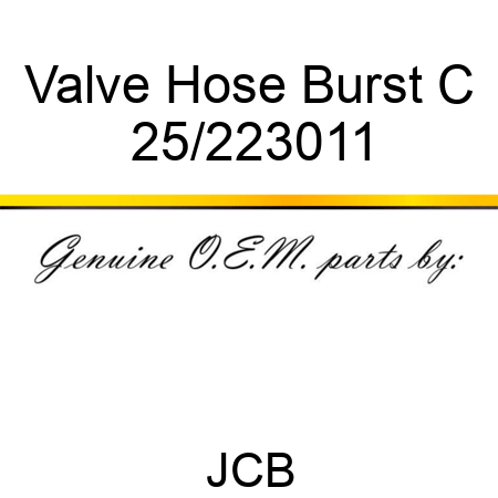 Valve Hose Burst C 25/223011