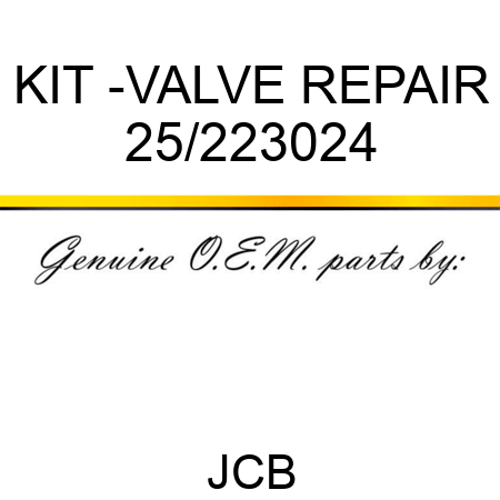 KIT -VALVE REPAIR 25/223024