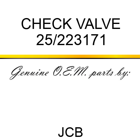CHECK VALVE 25/223171