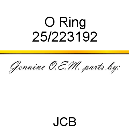 O Ring 25/223192