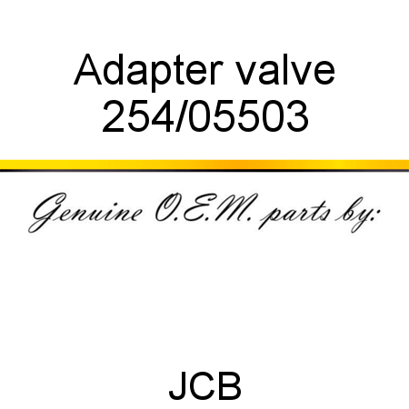 Adapter, valve 254/05503