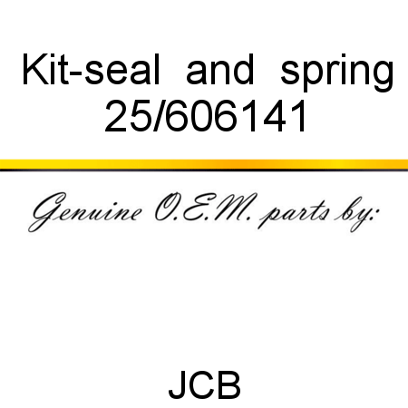 Kit-seal & spring 25/606141